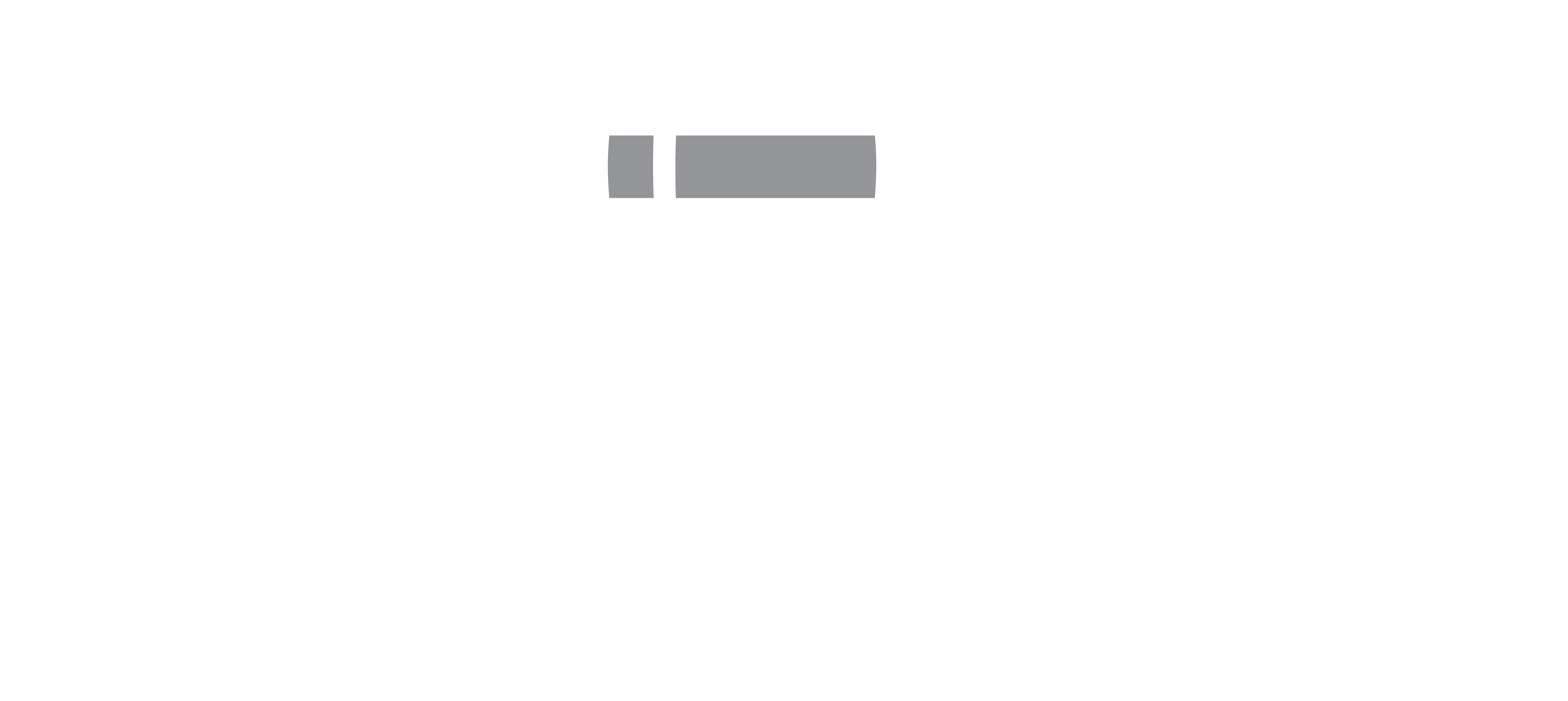 White Speck Bros Logo